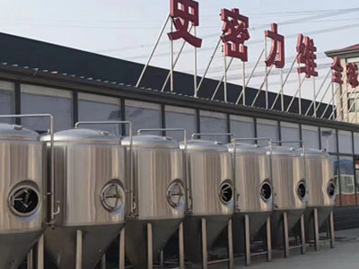 阜宁精酿啤酒设备厂—如何判断精酿啤酒设备的密封件需要更换？